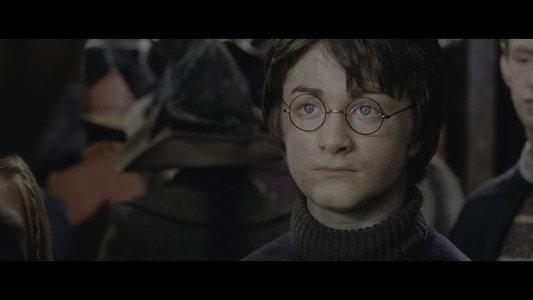 Harry Potter and the Chamber of Secrets