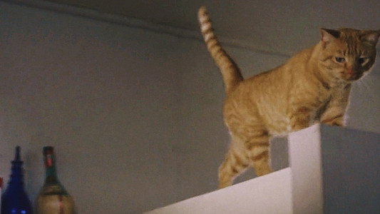 Breakfast at Tiffany's