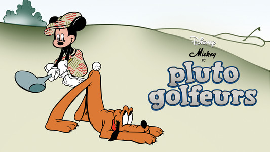 Canine Caddy