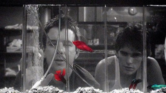 Rumble Fish