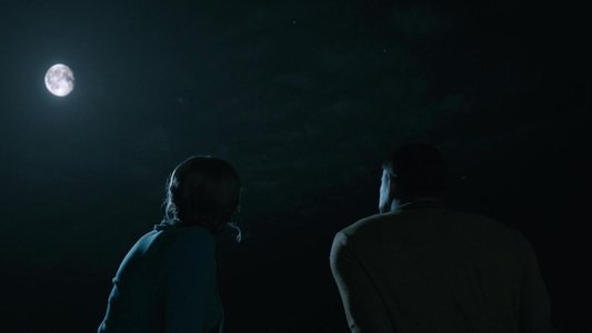 Fly Me to the Moon