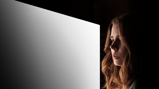 The Woman in the Window