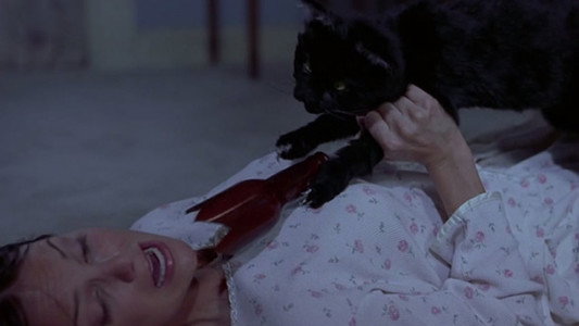Scary Movie 2