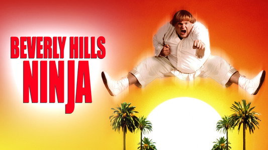 Beverly Hills Ninja