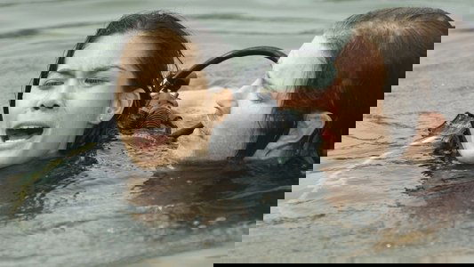 Croc