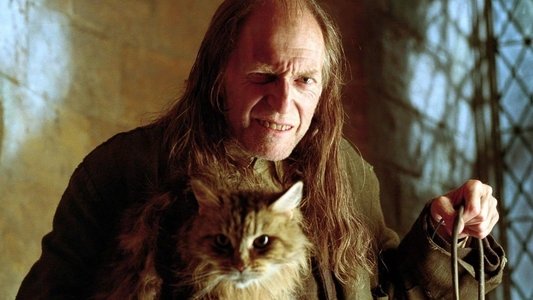 Harry Potter and the Goblet of Fire