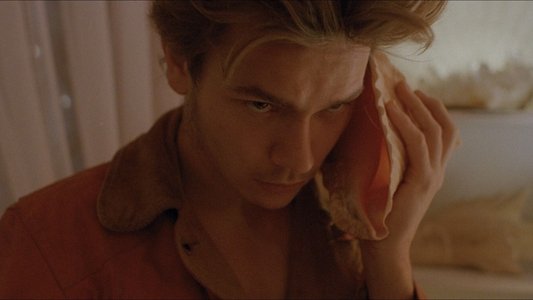 My Own Private Idaho