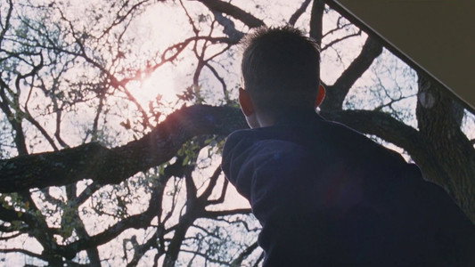 The Tree of Life
