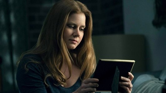 The Woman in the Window