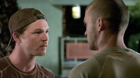 Alpha Dog