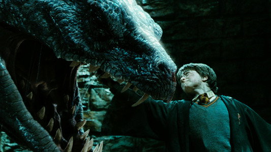Harry Potter and the Chamber of Secrets