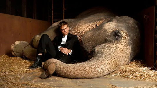 Water for Elephants