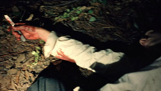 The Devil All the Time