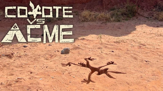 Coyote vs. ACME