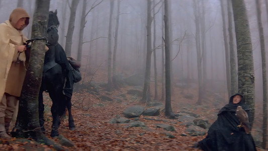 Ladyhawke