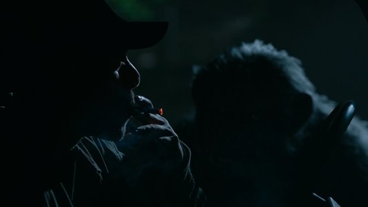 Dawn of the Planet of the Apes