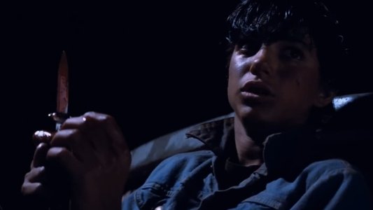 The Outsiders