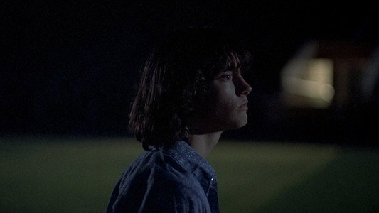 Dazed and Confused