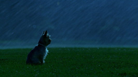 Sharpay's Fabulous Adventure