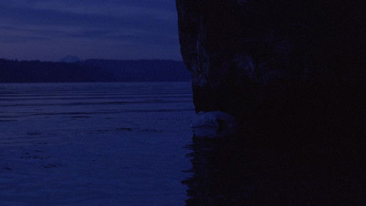 Twin Peaks: Fire Walk with Me