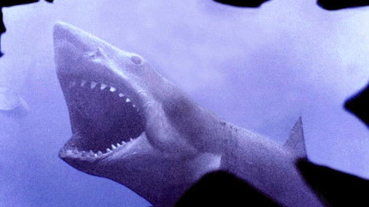 Jaws