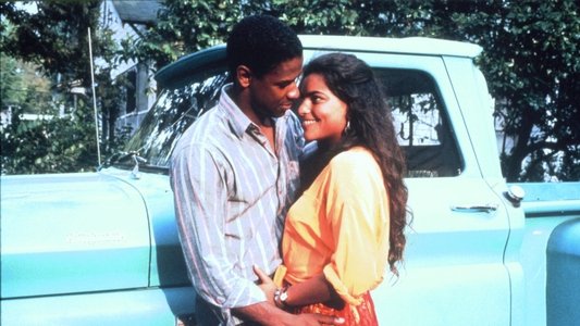 Mississippi Masala