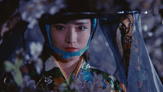 Legend of the Eight Samurai