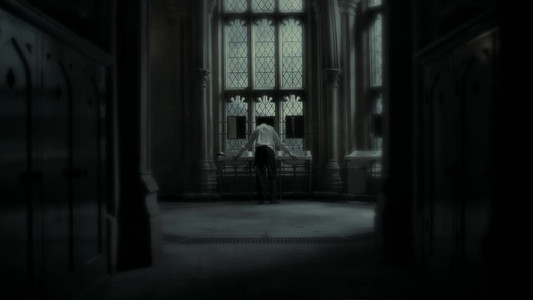 Harry Potter and the Half-Blood Prince