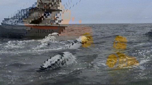 Jaws