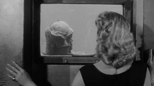 Revenge of the Creature