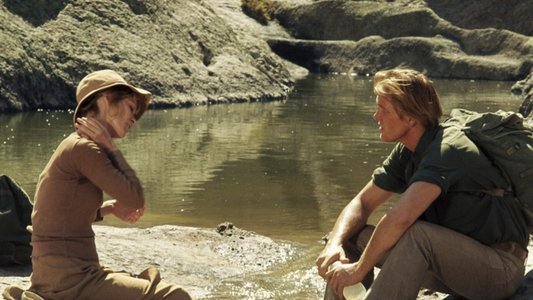 Who'll Stop the Rain