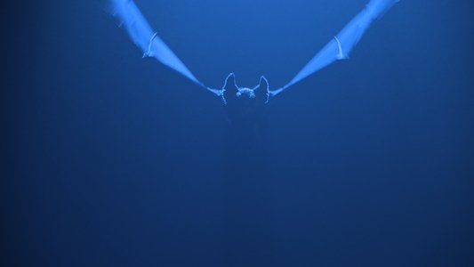 Batman Forever