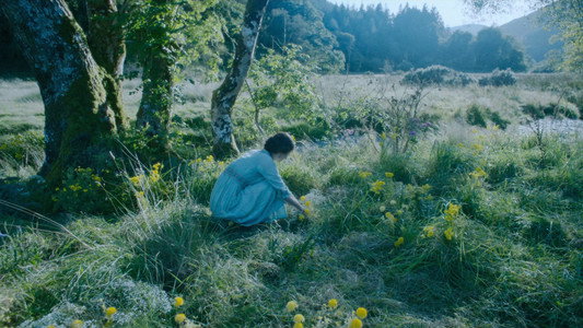Lady Chatterley's Lover
