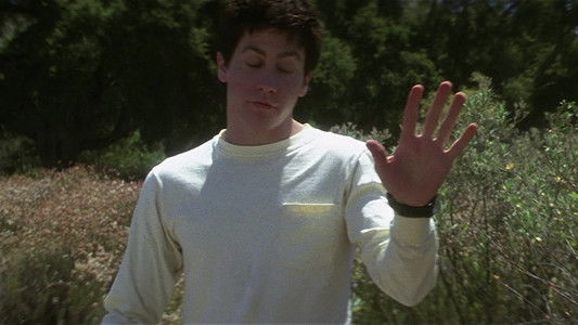 Donnie Darko