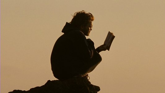 Into the Wild