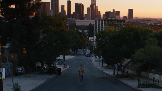 Under the Silver Lake