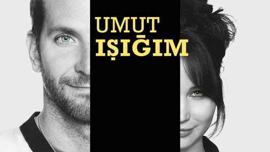 Silver Linings Playbook