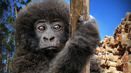 Escape from Extinction: Rewilding