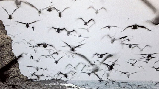 Indiana Jones and the Last Crusade