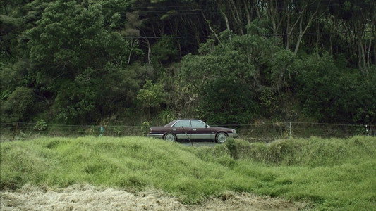 Hunt for the Wilderpeople