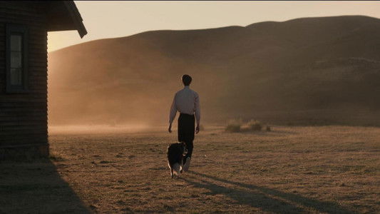 The Power of the Dog