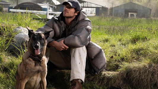 The Dog Stars