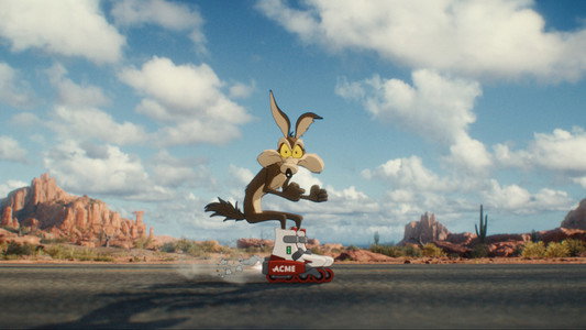 Coyote vs. Acme