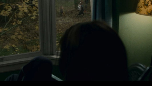 The Twilight Saga: New Moon