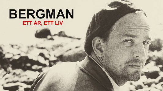 Bergman: A Year in a Life