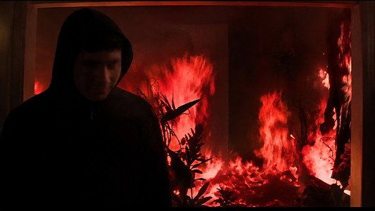 Donnie Darko