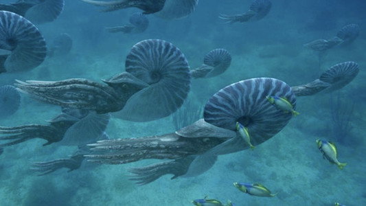 Sea Monsters: A Prehistoric Adventure