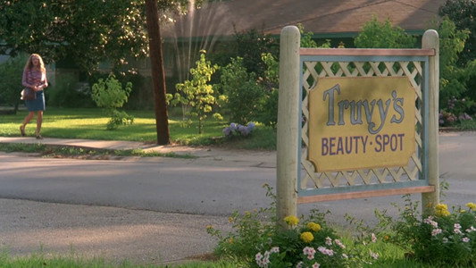 Steel Magnolias