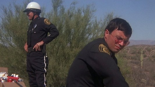 Electra Glide in Blue