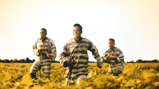 O Brother, Where Art Thou?